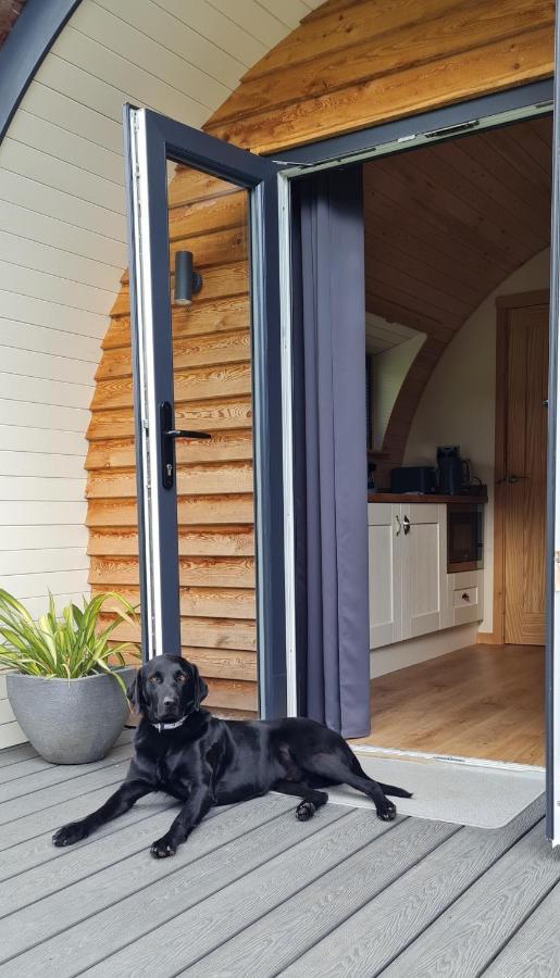 什鲁斯伯里 Habberley Glamping Pods酒店 外观 照片
